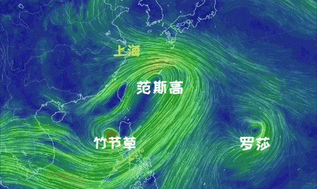大风+大雨，上海今起受台风影响！一活动紧急取消！这几个区的雨更大