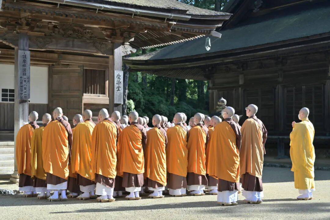 印乐上任首月，少林寺的变与不变