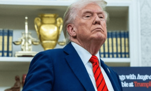 大结局要来?荷兰体面认输,或恢复中方CEO职位,特朗普“弃卒保帅”,美国罕见退了一步