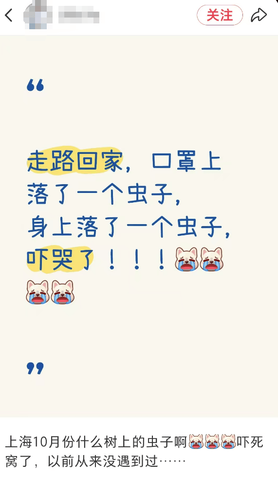 汽车被虫子啃得都是窟窿，“一边咬一边往里钻”！很多人中招