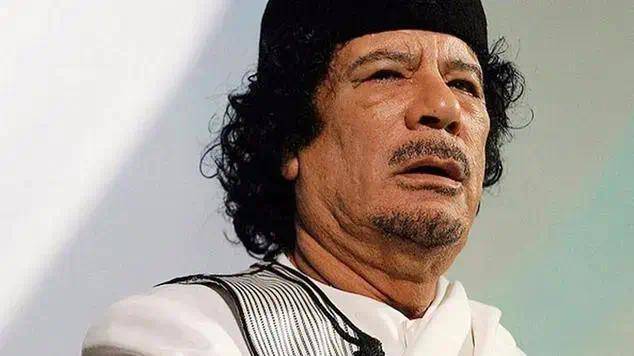 历史上，美国政府曾涉及推翻或抓捕多名外国领导人