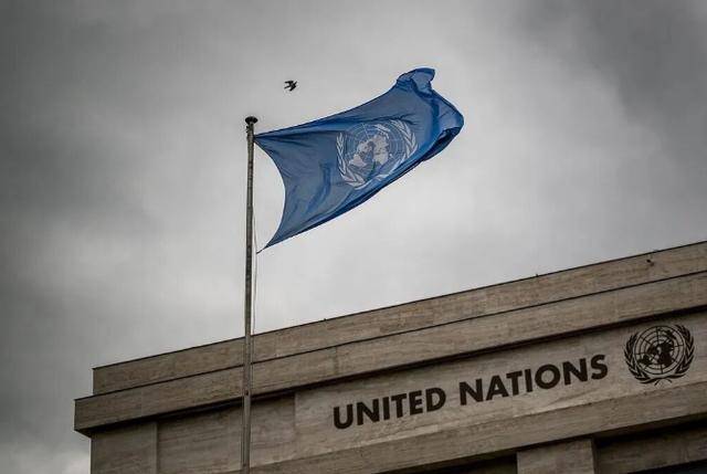 中欧联合国大吵一架！27国逼中企交出技术，中国这次一点面子没给