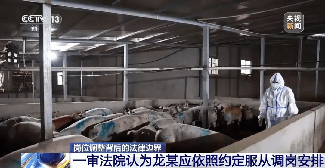 湖南一电工突然被领导调去养猪，工资待遇不变，还给3个月培训期，当事人提起诉讼，公司被判支付补偿金
