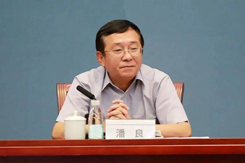 退而不休、作风败坏，国务院国有资产监督管理委员会原副部长级干部潘良被公诉