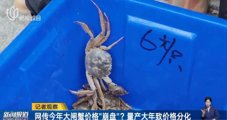 价格“崩了”，有些跌至5元一只！这种美味已大量上市，老板：再等等，更肥更便宜……