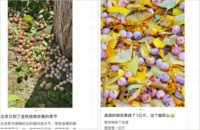 不要吃！不要捡！近期正大量出现